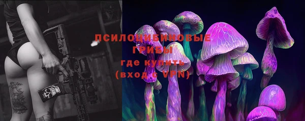 спиды Абаза