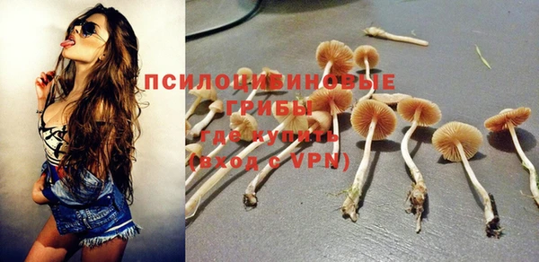 гидра Алексин
