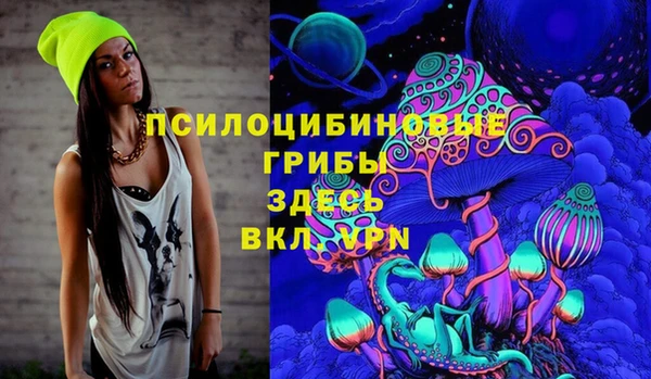 гидра Алексин