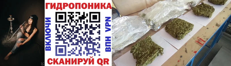 Бошки марихуана планчик  как найти закладки  Уварово 
